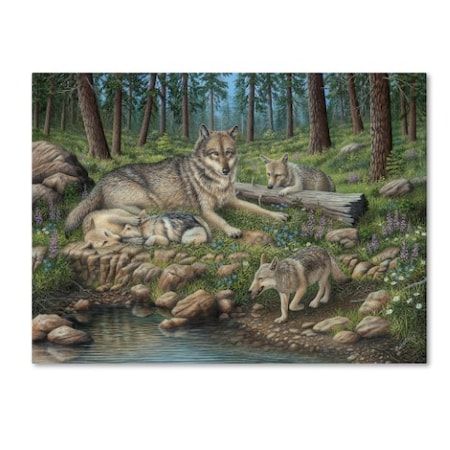 Robert Wavra 'Grey Wolf Mother And Pups' Canvas Art,35x47
